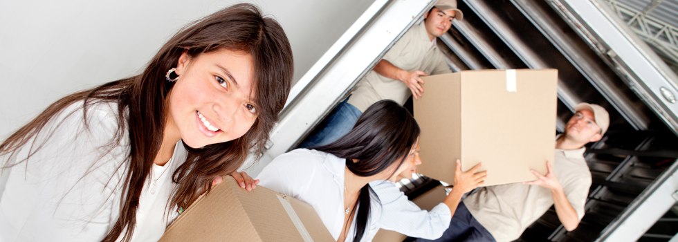 Professional Removalists Doncaster Heights
